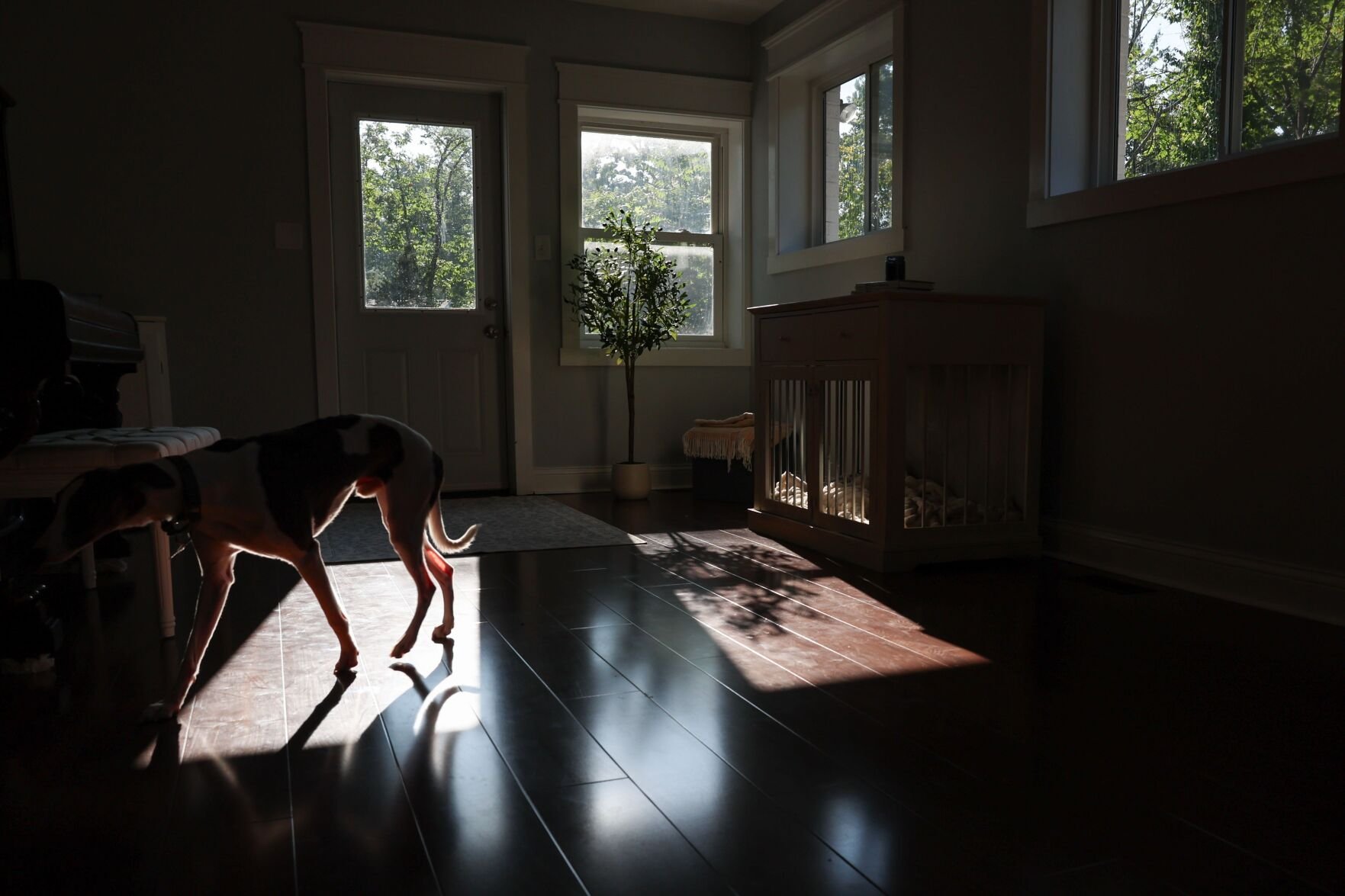 At Home with Cara Katzen